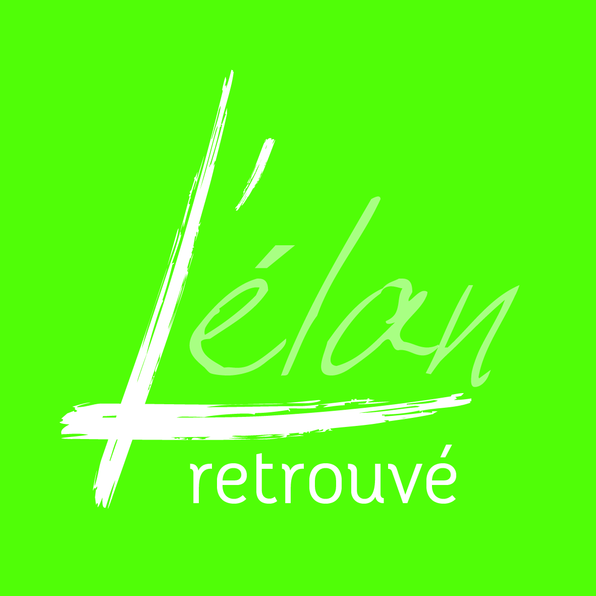 Fondation l'élan retrouvé